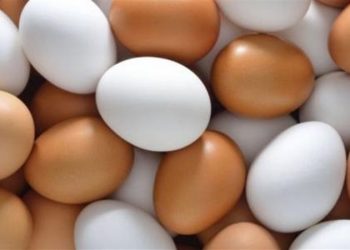 قبيل ساعات من عودة المدارس..إرتفاع جديد في أسعار البيض