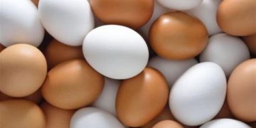 قبيل ساعات من عودة المدارس..إرتفاع جديد في أسعار البيض