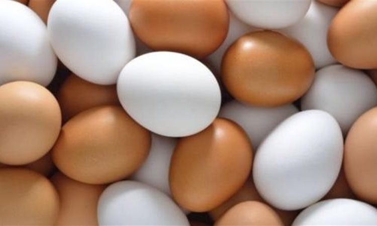 قبيل ساعات من عودة المدارس..إرتفاع جديد في أسعار البيض