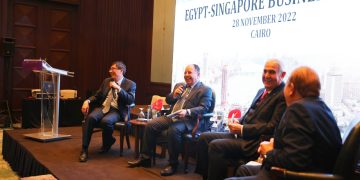 وزير المالية: أداء الاقتصاد المصرى جيد رغم كل التحديات العالمية شديدة الصعوبة