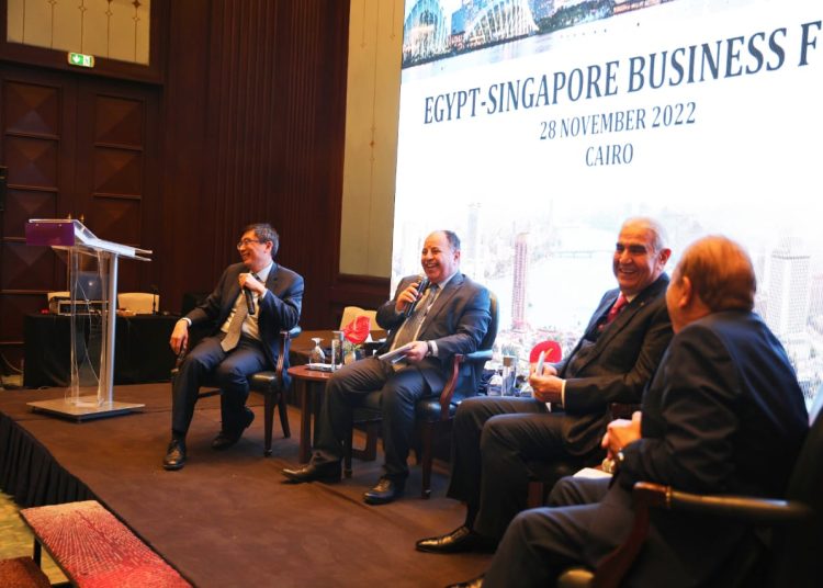 وزير المالية: أداء الاقتصاد المصرى جيد رغم كل التحديات العالمية شديدة الصعوبة