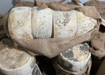 ضبط 11 طن جبن وملح فاسد داخل معمل للألبان