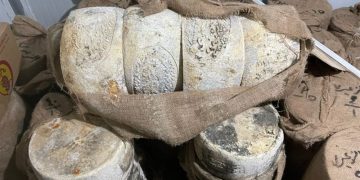 ضبط 11 طن جبن وملح فاسد داخل معمل للألبان
