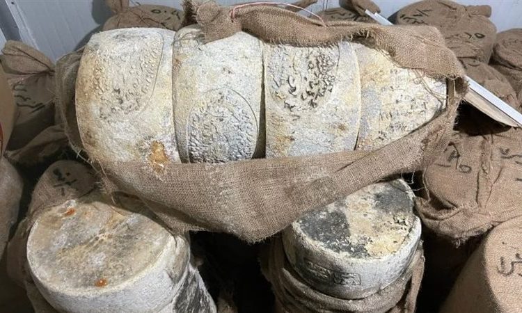 ضبط 11 طن جبن وملح فاسد داخل معمل للألبان