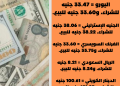 أسعار العملات العربية والأجنبية اليوم…تعرف عليها(انفوجراف)