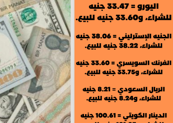 أسعار العملات العربية والأجنبية اليوم…تعرف عليها(انفوجراف)