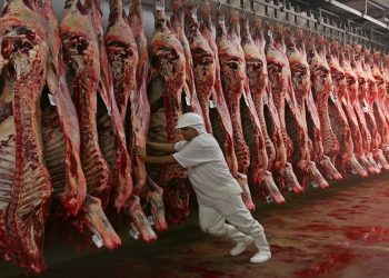 أسعار اللحوم اليوم في مصر ..تعرف عليها