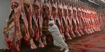 أسعار اللحوم اليوم في مصر ..تعرف عليها
