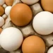 تراجع أسعار البيض الأبيض والأحمر