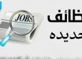 وزارة الدولة للهجرة تعلن عن وظائف بالعاصمة الإدارية