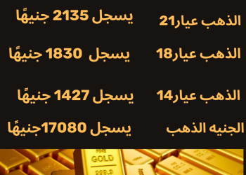 تراجع جديد في أسعار الذهب بتعاملات اليوم (انفوجراف)