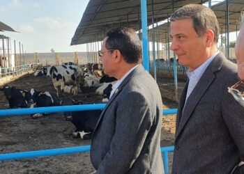 البنك الزراعي المصري يوفر  مقومات النجاح لمبادرة “إحلم” لتمويل وتوزيع رؤوس الأبقار  على صغار المربين والمزارعين بالشرقية