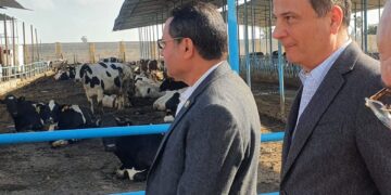 البنك الزراعي المصري يوفر  مقومات النجاح لمبادرة “إحلم” لتمويل وتوزيع رؤوس الأبقار  على صغار المربين والمزارعين بالشرقية