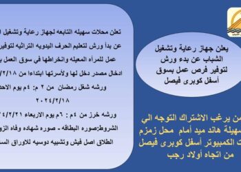 جهاز تشغيل الشباب يعقد ورش عمل تدريبية  لأبناء محافظة الجيزة