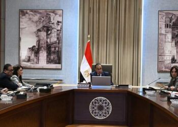 رئيس الوزراء يتابع مع وزيرة التعاون الدولي جهود دعم تنفيذ وثيقة سياسة ملكية الدولة