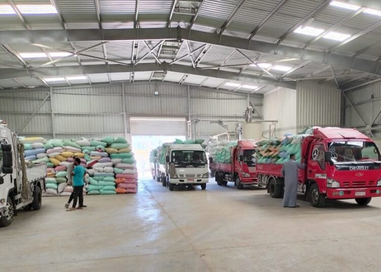 البنك الزراعي المصري يبدأ استلام محصول القمح من المزارعين والموردين في 190 موقع على مستوى الجمهورية