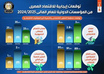 توقعات إيجابية للاقتصاد المصري من المؤسسات الدولية للعام المالي 2024/ 2025( انفو)