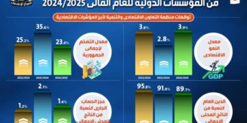 توقعات إيجابية للاقتصاد المصري من المؤسسات الدولية للعام المالي 2024/ 2025( انفو)