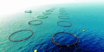 المصري للتأمين يرصد تغطيات التأمين على المزارع السمكية