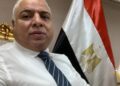 شعبة الأخشاب والاساس: منصة مصر الصناعية الرقمية تقضي على البيروقراطية وتسهل الإجراءات