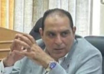 شعبة مستخلصي الجمارك تحدد  4 مقترحات لمحاور تطوير منظومة الترانزيت غير المباشر