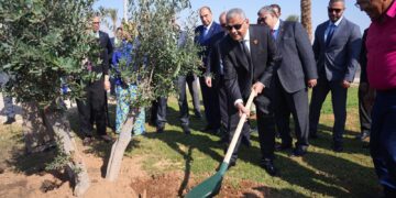 المهندس للتأمين تطلق مبادرة لزراعة 50 شجرة فى إطار التنمية المستدامة على هامش راندفو 6