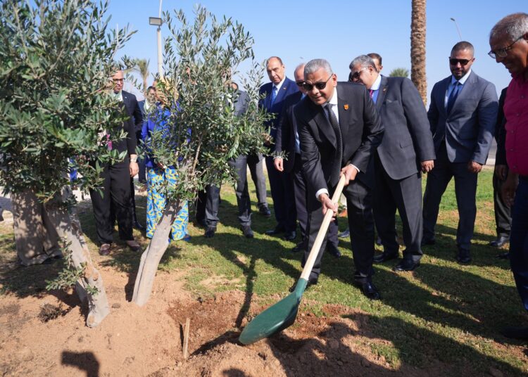 المهندس للتأمين تطلق مبادرة لزراعة 50 شجرة فى إطار التنمية المستدامة على هامش راندفو 6