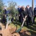 المهندس للتأمين تطلق مبادرة لزراعة 50 شجرة فى إطار التنمية المستدامة على هامش راندفو 6