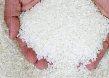شعبة الموادالغذائية: 2000 جنيه زيادة في أسعار طن الأرز