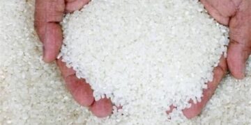 شعبة الموادالغذائية: 2000 جنيه زيادة في أسعار طن الأرز