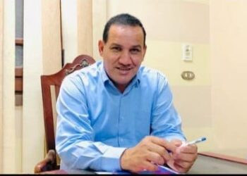 “شعبة القطن”: زراعة 311 ألف فدان من القطن بزيادة 26 ألف فدان عن العام الماضي