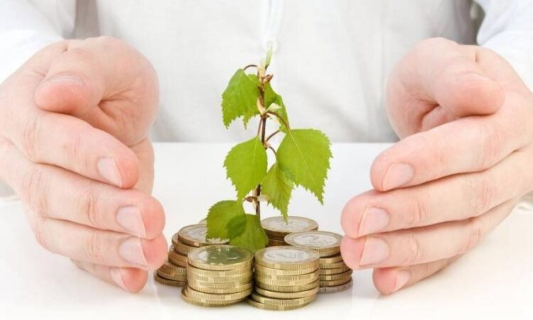 “إتحاد شركات التأمين” يحدد دور التأمين الزراعي في تحقيق التنمية المستدامة في قطاع الزراعة