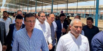 “البنك الزراعي المصري” يمول شراء 2000 رأس ماشية بقيمة 395 مليون جنيه لصالح صغار المربين بالشرقية