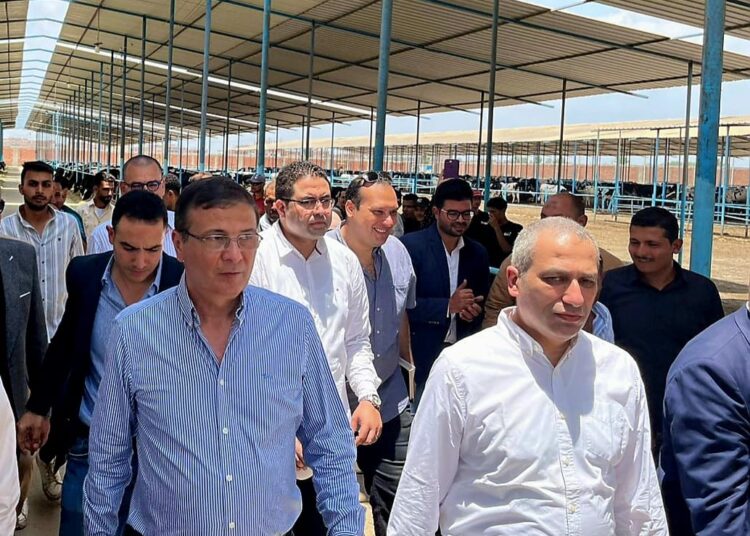 “البنك الزراعي المصري” يمول شراء 2000 رأس ماشية بقيمة 395 مليون جنيه لصالح صغار المربين بالشرقية