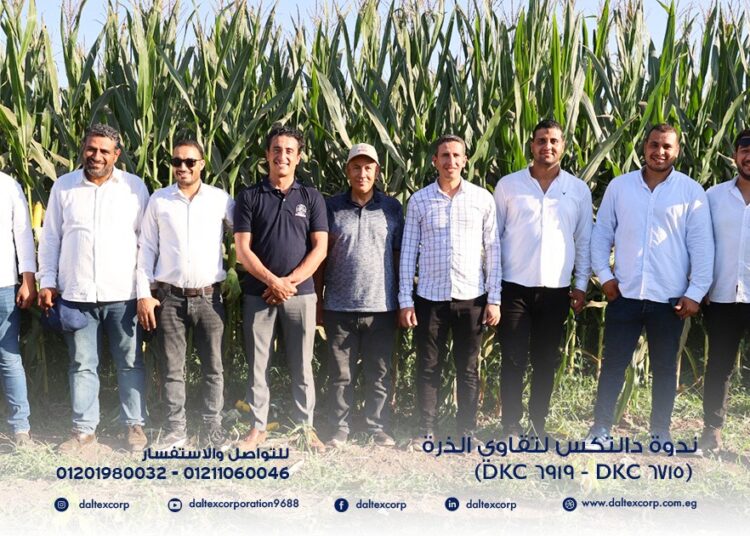 “دالتكس” تكشف عن أداء استثنائي للذرة الهجينة ديكالب 6919 في تجربة ميدانية حقيقية