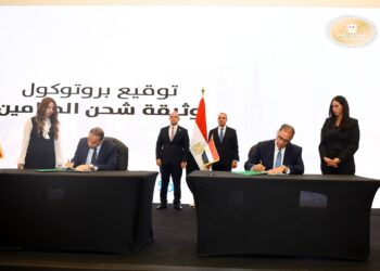 وزير الخارجية ورئيس الرقابة المالية يشهدا توقيع برتوكول تعاون بشأن المصريين بالخارج في إطار مبادرة “تأمينك في مصر”