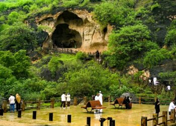 عين رزات.. لوحة خريفية تنبض بالحياة والطبيعة في ظفار بسلطنة عُمان