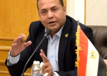 ايهاب سعيد:استضافة تاريخية لقمة العشرين في العاصمة الإدارية الجديدة تعزز مكانة مصر الاقتصادية عالميًا