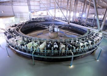 “جهينه “تطلق مرحلة جديدة من التوسع في مزرعة “إنماء” بتطوير وحدة الحلب بتقنيات أكثر تقدّمًا