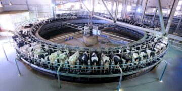 “جهينه “تطلق مرحلة جديدة من التوسع في مزرعة “إنماء” بتطوير وحدة الحلب بتقنيات أكثر تقدّمًا