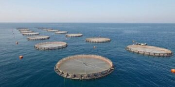 بمشاركة دولية.. عُمان تستضيف الدورة الـ13 للهيئة الإقليمية لمصايد الأسماك