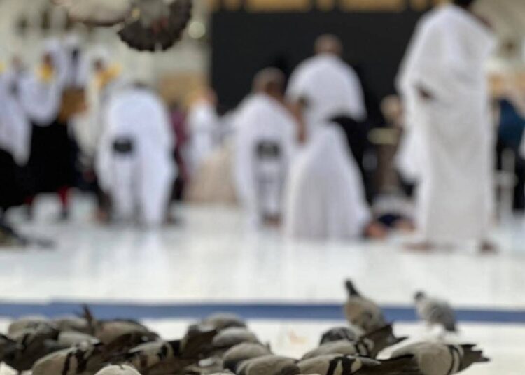 الحج السعودية: جميع أنواع التأشيرات تتيح أداء مناسك العمرة