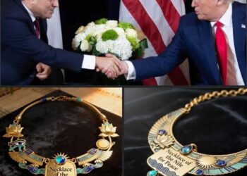 حسام الشاعر: قمة السلام رسالة قوية للعالم بالريادة المصرية