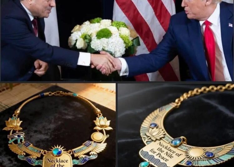 حسام الشاعر: قمة السلام رسالة قوية للعالم بالريادة المصرية