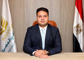 البنك الزراعي المصري يعلن تعيين محمد علي رئيسًا لمجموعة مخاطر التجزئة المصرفية