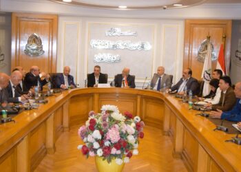 “لجنة السيارات” تجهّز مذكرة شاملة لرفعها إلى “العشري” حول قرار نقل معارض السيارات خارج الكتلة السكنية 