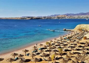 رفع كفاءة الخدمات بالفنادق والقرى السياحية بالغردقة