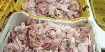 خلال شهر .. ضبط 45 طن لحوم فاسدة وتحصين 208 ألف رأس ماشية بمحافظة الجيزة