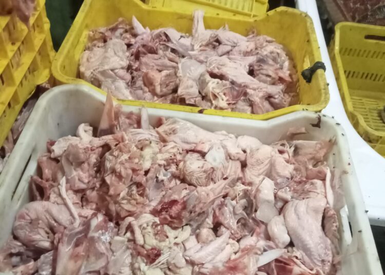 خلال شهر .. ضبط 45 طن لحوم فاسدة وتحصين 208 ألف رأس ماشية بمحافظة الجيزة