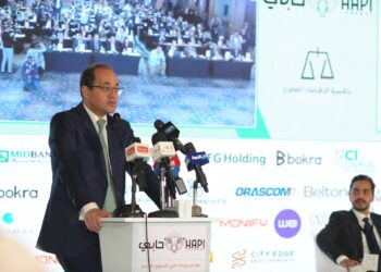 وزير المالية: الشراكة مع القطاع الخاص مفتاح تعزيز تنافسية الاقتصاد المصري